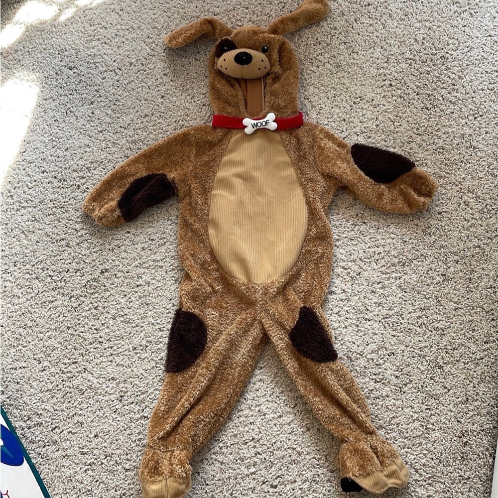 Puppy costume (24 month old)